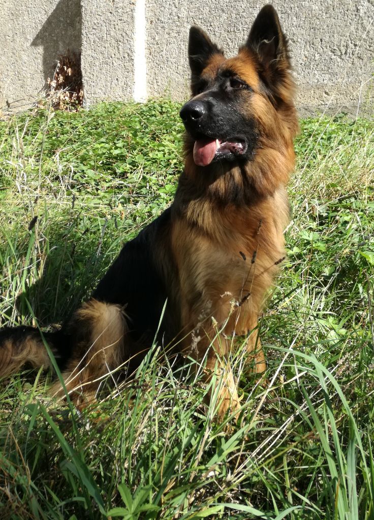 Tyska saint-lieux Des Gardiens Du Chalet